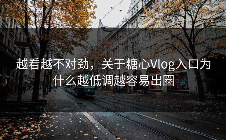 越看越不对劲，关于糖心Vlog入口为什么越低调越容易出圈