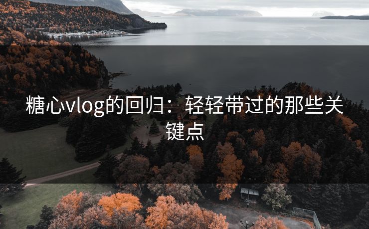 糖心vlog的回归：轻轻带过的那些关键点