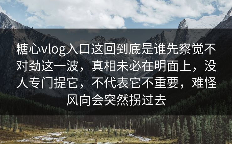 糖心vlog入口这回到底是谁先察觉不对劲这一波，真相未必在明面上，没人专门提它，不代表它不重要，难怪风向会突然拐过去