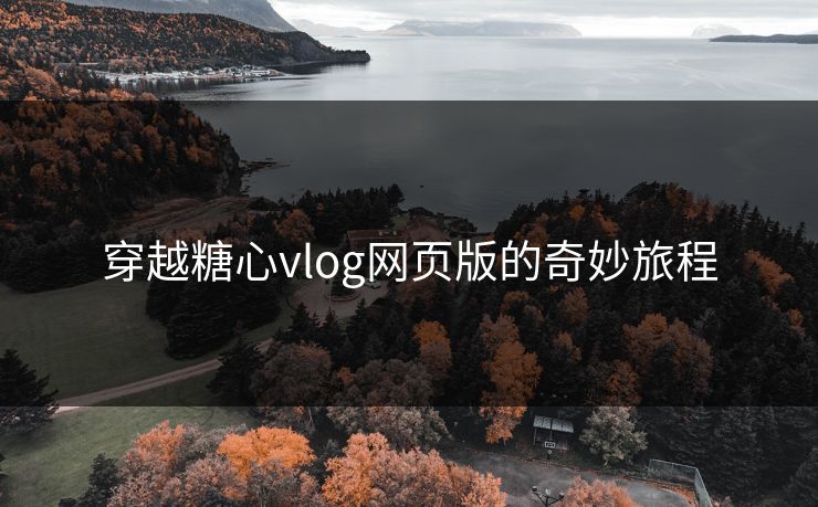 穿越糖心vlog网页版的奇妙旅程