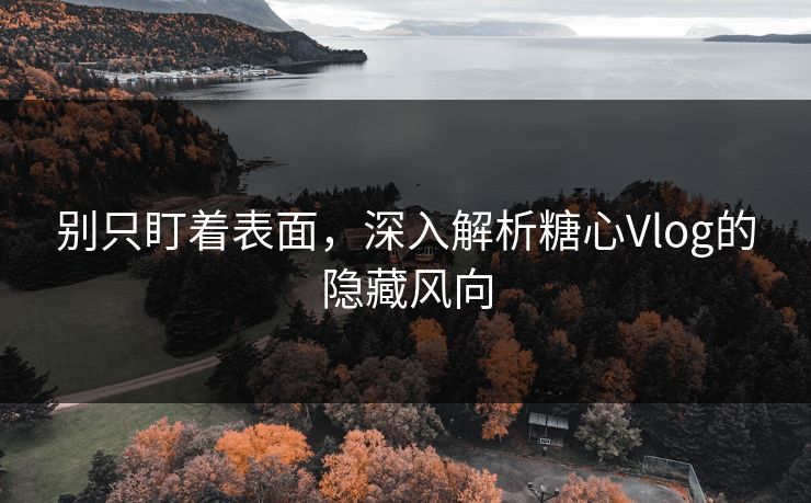 别只盯着表面，深入解析糖心Vlog的隐藏风向