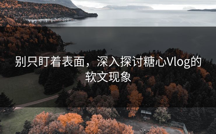别只盯着表面，深入探讨糖心Vlog的软文现象
